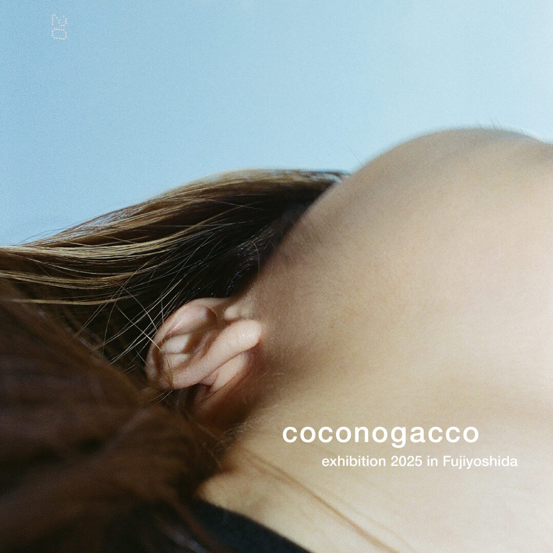 coconogacco_2025-1-